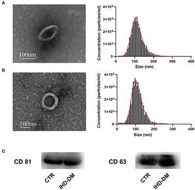 Diagnostic and Predictive Values of Circulating Extracellular Vesicle-Carried microRNAs in Ischemic Heart Disease Patients With Type 2 Diabetes Mellitus